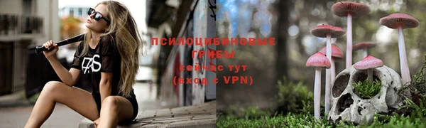 PSILOCYBIN Алексеевка