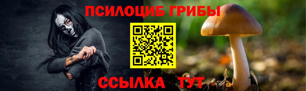 Моздок  Галлюциногенные грибы прущие грибы  Псилоцибиновые грибы Psilocybe  Вход с VPN 