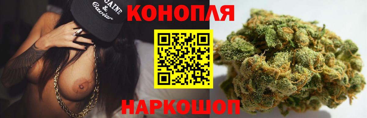 Бошки Шишки MAZAR Моздок